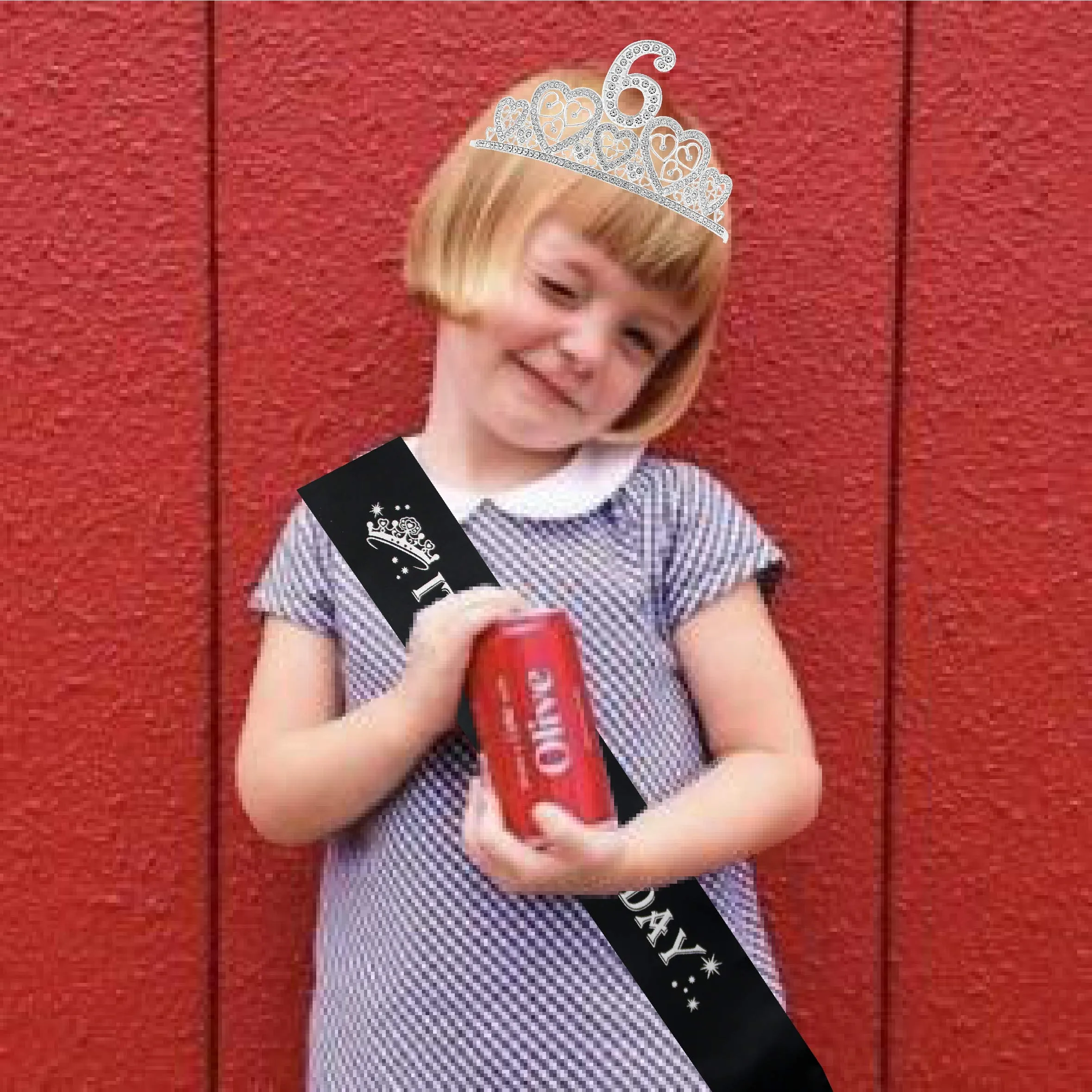 6th Birthday Girl,6th Birthday Sash, 6th Birthday Tiara, 6th Birthday Decorations for Her