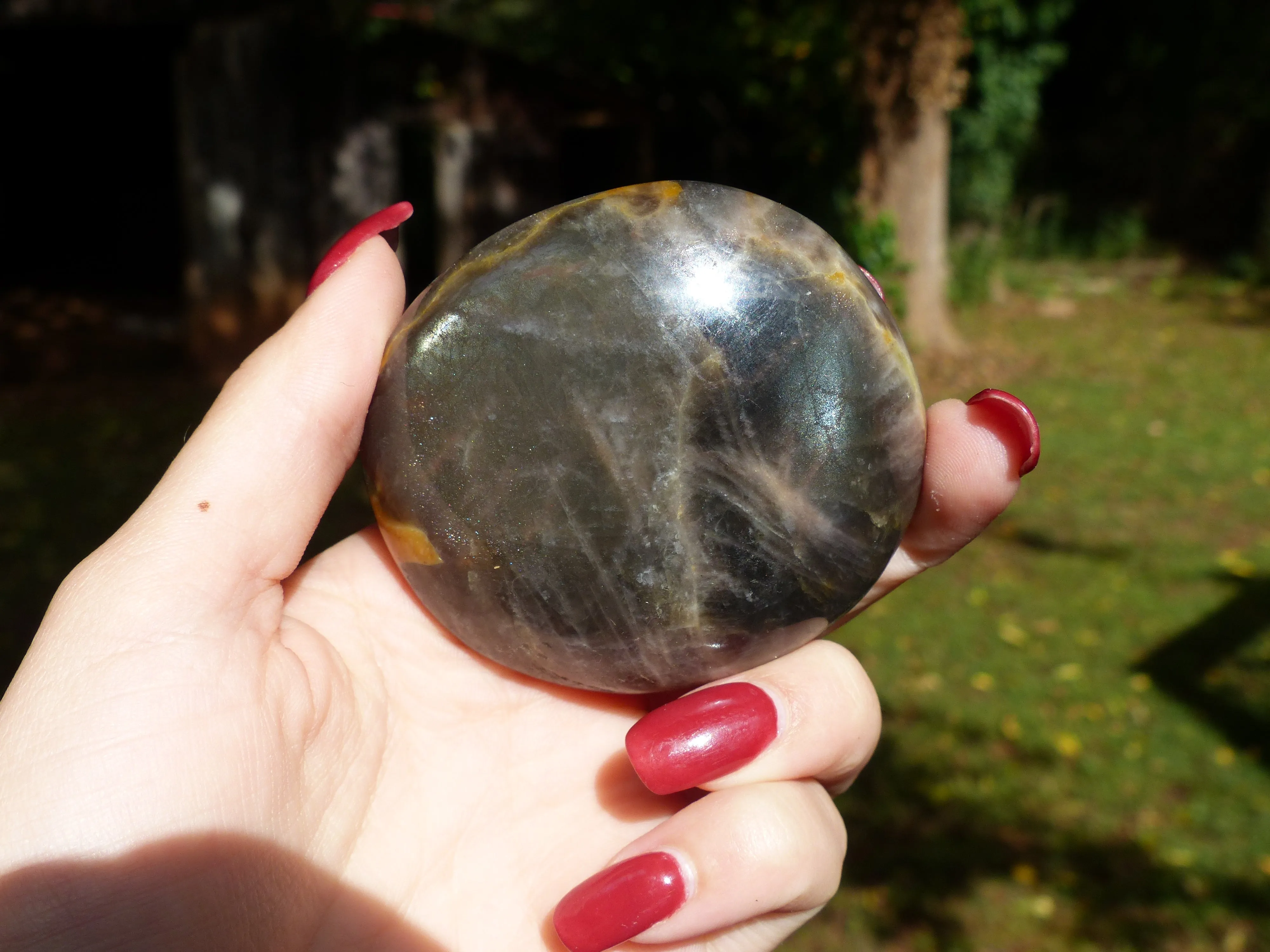 Black Moonstone Palm Stone with Olive Green FLASH! (#7)