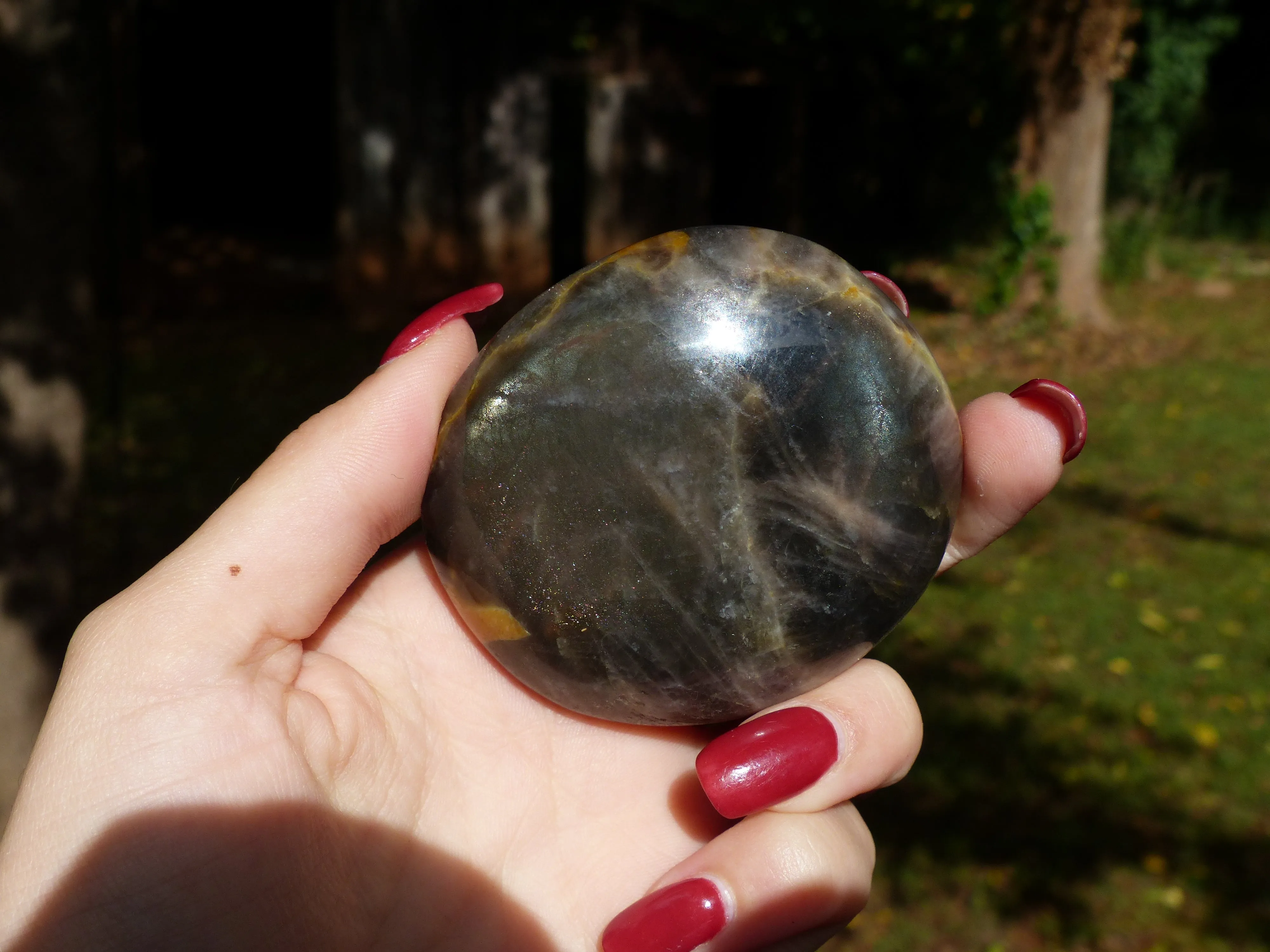 Black Moonstone Palm Stone with Olive Green FLASH! (#7)