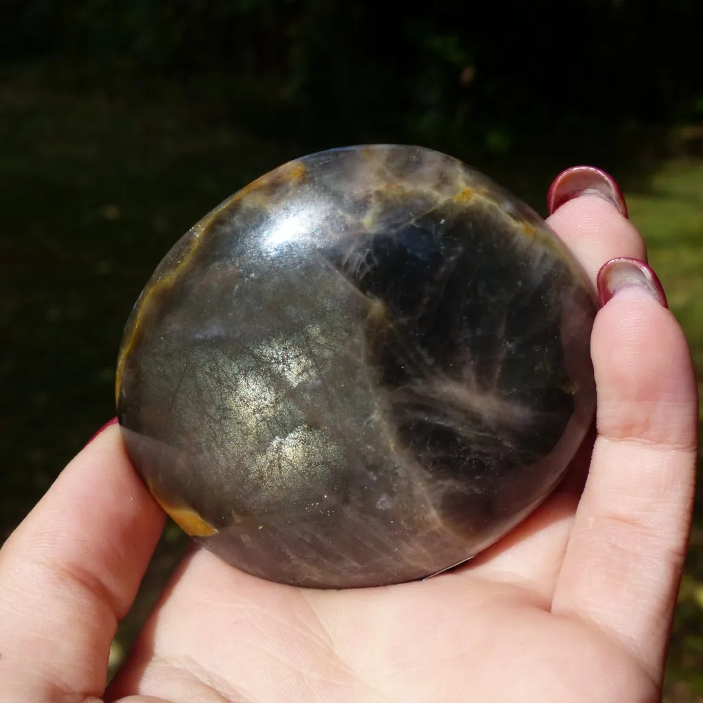 Black Moonstone Palm Stone with Olive Green FLASH! (#7)