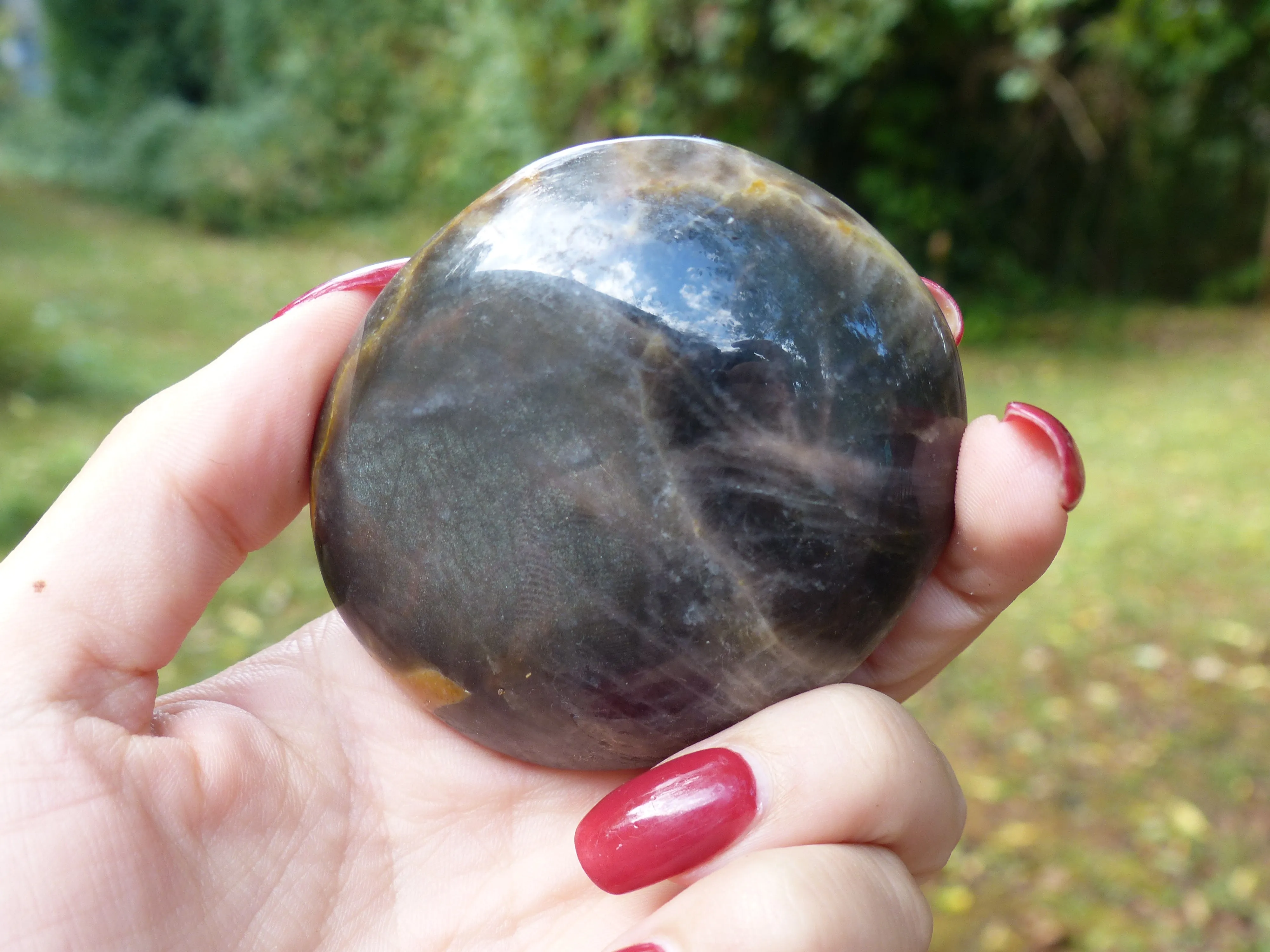 Black Moonstone Palm Stone with Olive Green FLASH! (#7)