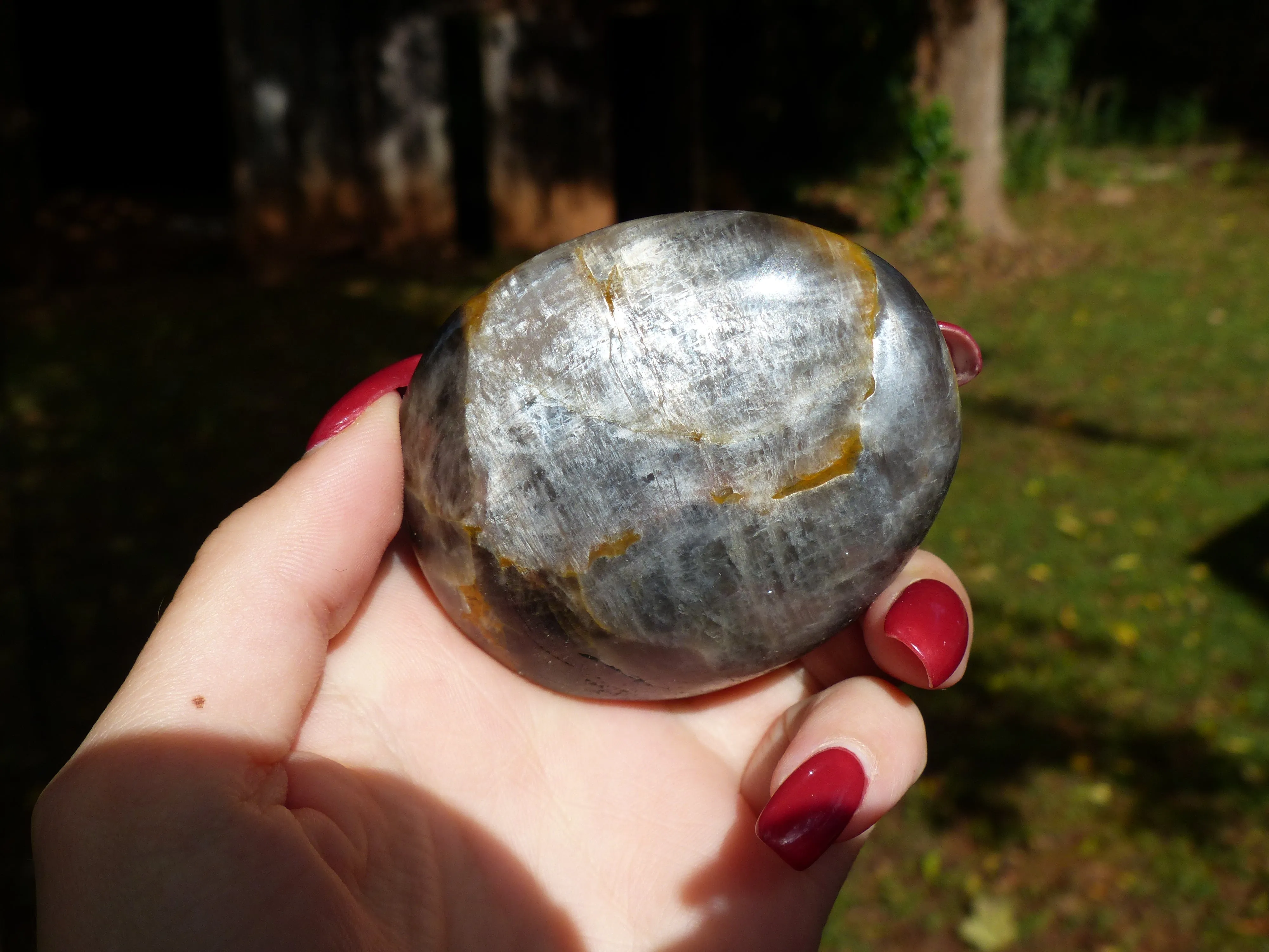 Black Moonstone Palm Stone with Olive Green FLASH! (#7)