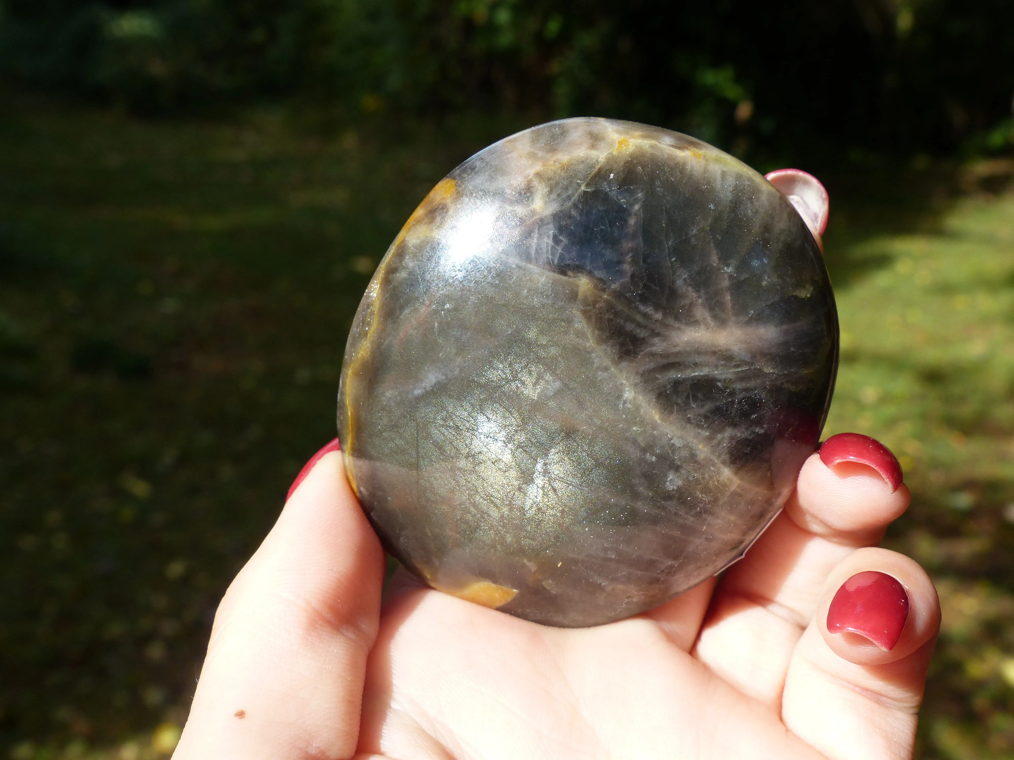 Black Moonstone Palm Stone with Olive Green FLASH! (#7)