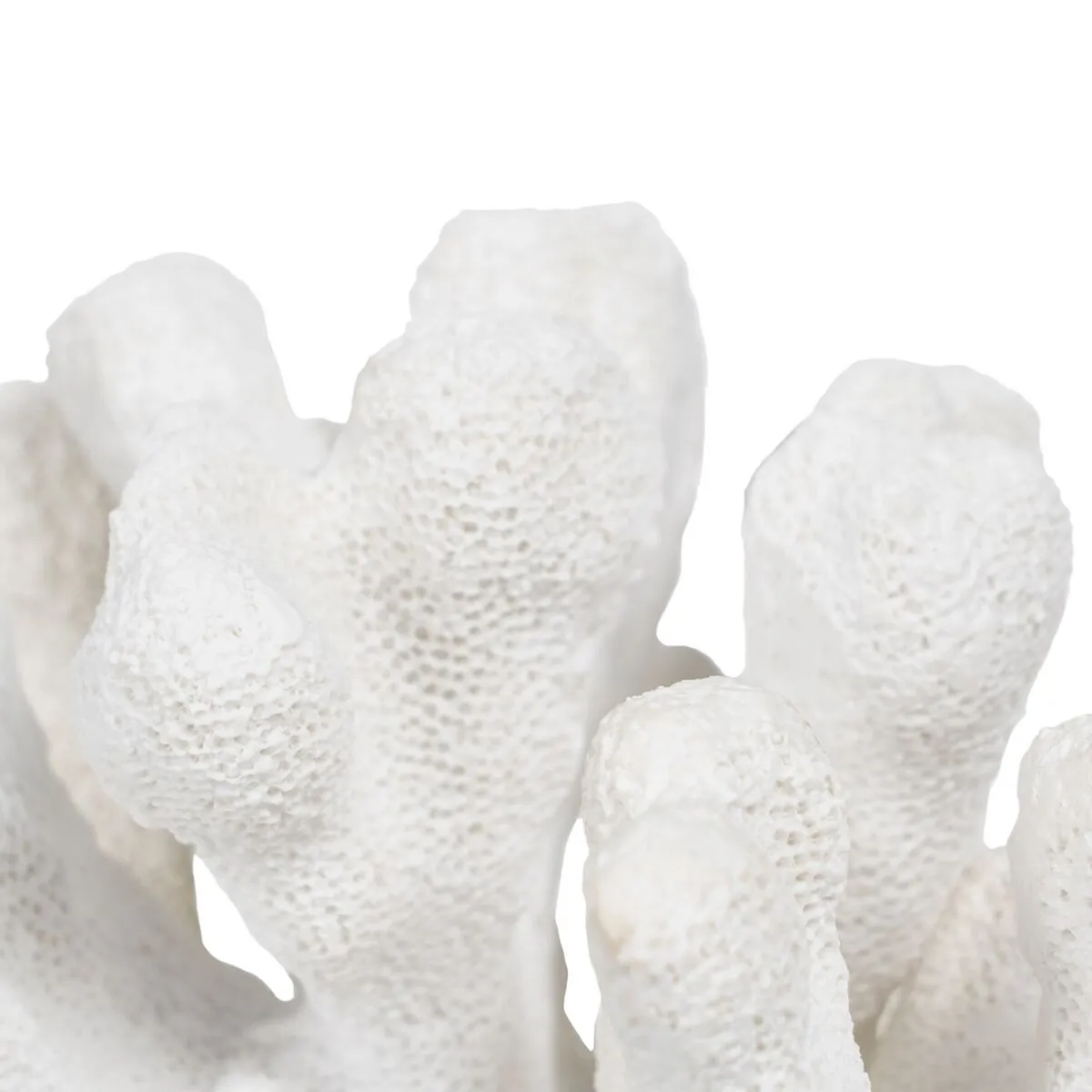 Decorative Figure White Coral 19 x 14 x 11 cm