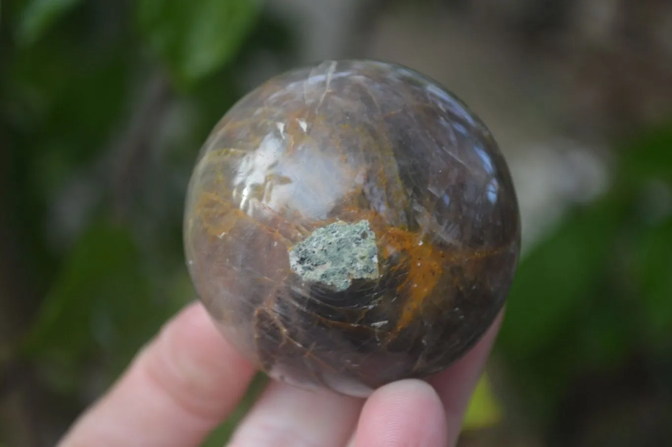 Polished  Chatoyant Black Moonstone Spheres  x 6 From Madagascar