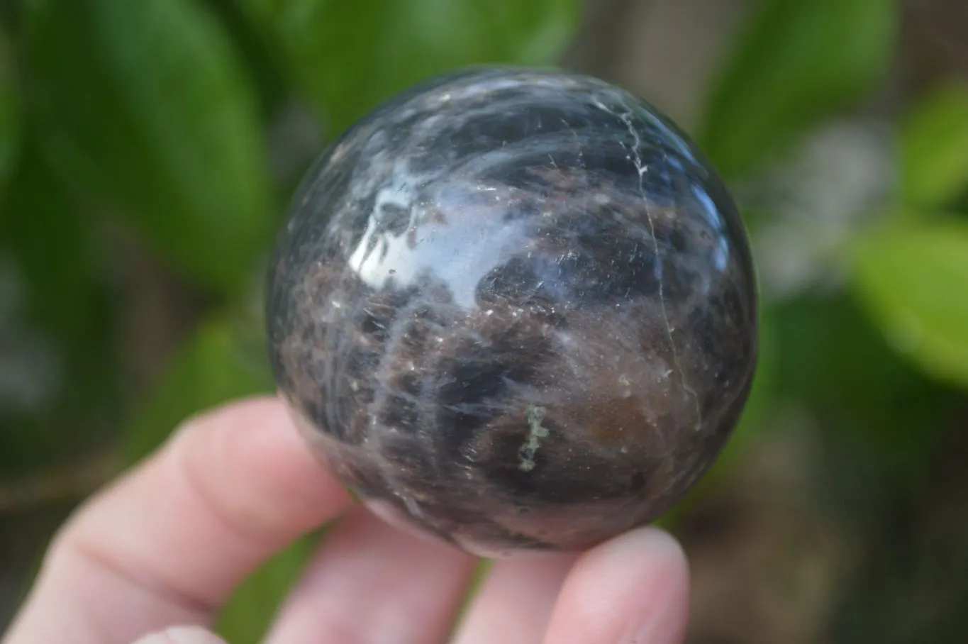 Polished  Chatoyant Black Moonstone Spheres  x 6 From Madagascar