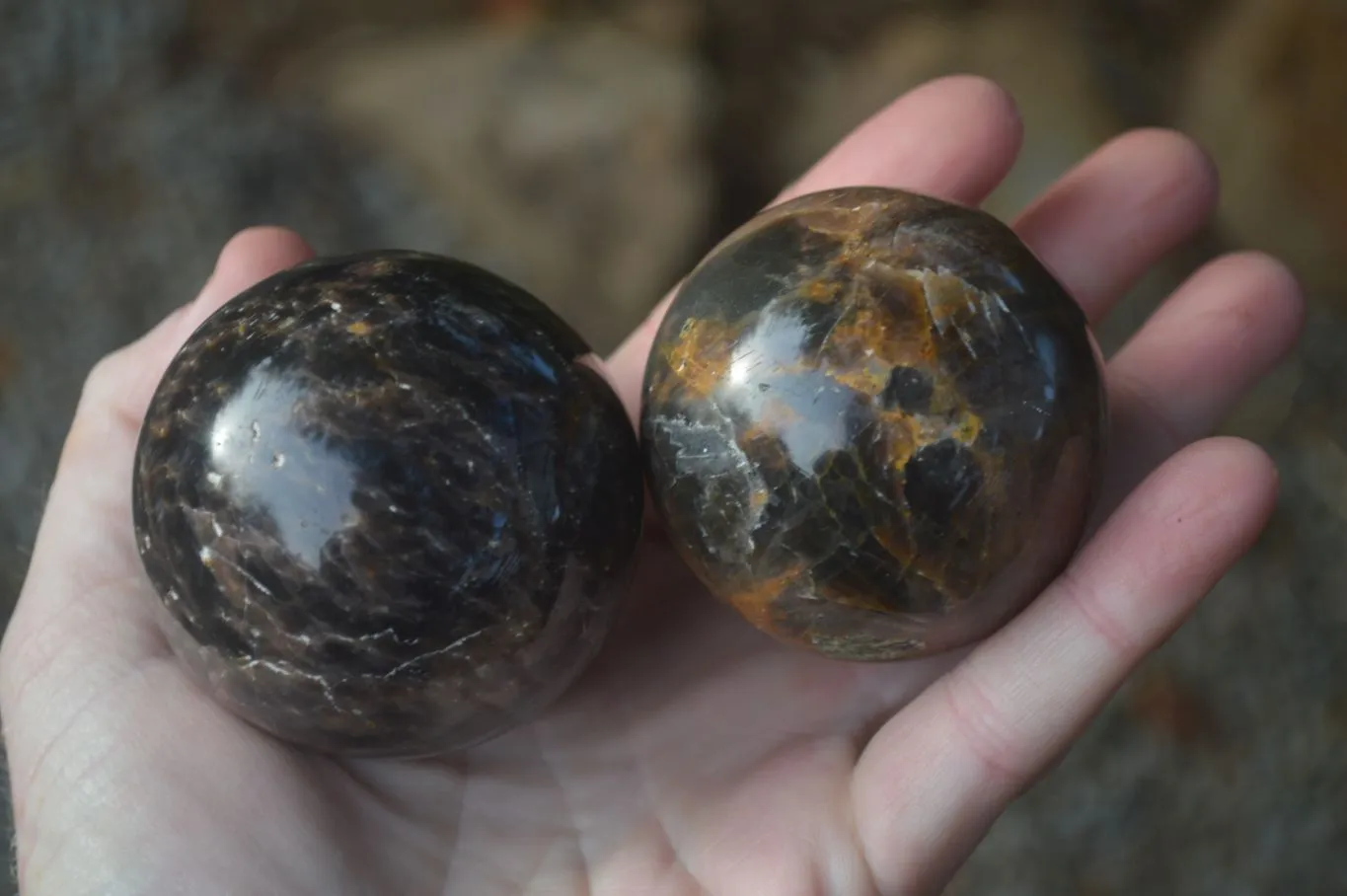 Polished  Chatoyant Black Moonstone Spheres  x 6 From Madagascar